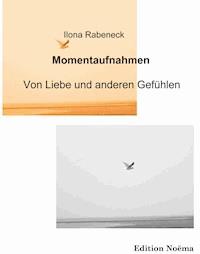 Momentaufnahmen - Von Liebe und anderen Gefühlen - Ilona Rabeneck - E-Book
