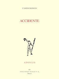 Accidente - Camino Román Álvarez - E-Book