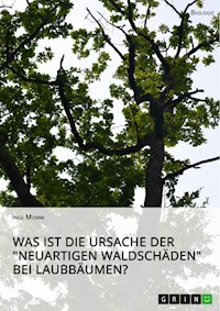 Was ist die Ursache der "Neuartigen Waldschäden" bei Laubbäumen? - Inge Momm - E-Book