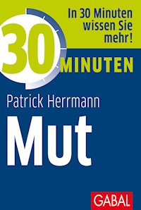 30 Minuten Mut - Patrick Herrmann - E-Book