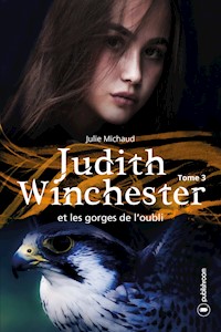 Judith Winchester et les gorges de l'oubli - Julie Michaud - E-Book