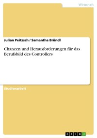 Chancen und Herausforderungen für das Berufsbild des Controllers - Julian Peitzsch - E-Book