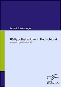 US-Hypothekenkrise in Deutschland - Dominik Schöneberger - E-Book