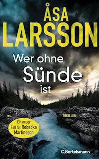 Wer ohne Sünde ist - Åsa Larsson - E-Book