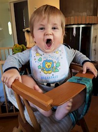 Gourmetbaby - Ein Kochbuch für kleine Genießer - Julia Schalk - E-Book