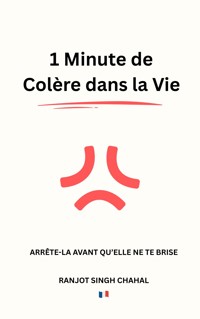 1 Minute de Colère dans la Vie - Ranjot Singh Chahal - E-Book
