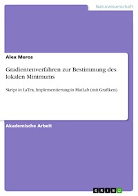 Gradientenverfahren zur Bestimmung des lokalen Minimums - Alex Meros - E-Book