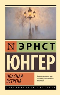 Опасная встреча - Эрнст Юнгер - E-Book
