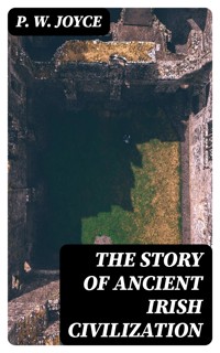 The Story of Ancient Irish Civilization - P. W. Joyce - E-Book