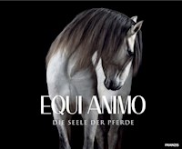 EQUI Animo - Wiebke Haas - E-Book