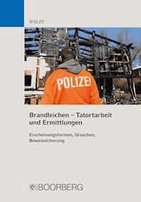 Brandleichen – Tatortarbeit und Ermittlungen - Olaf Eduard Wolff - E-Book