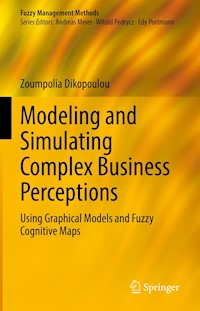 Modeling and Simulating Complex Business Perceptions - Zoumpolia Dikopoulou - E-Book