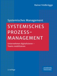 Systemisches Prozessmanagement - Rainer Feldbrügge - E-Book