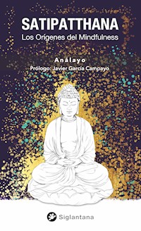 Satipatthana - Bhikkhu Anālayo - E-Book