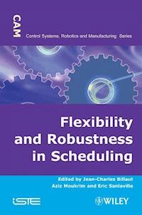 Flexibility and Robustness in Scheduling -  - E-Book