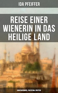 Reise einer Wienerin in das Heilige Land - Konstantinopel, Palästina, Ägypten - Ida Pfeiffer - E-Book