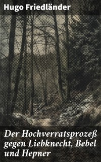 Der Hochverratsprozeß gegen Liebknecht, Bebel und Hepner - Hugo Friedländer - E-Book