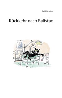 Rückkehr nach Balistan - Bali Kiknadze - E-Book