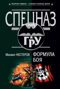 Формула боя - Михаил Нестеров - E-Book