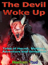 The Devil Woke Up - Hseham Ttud - E-Book