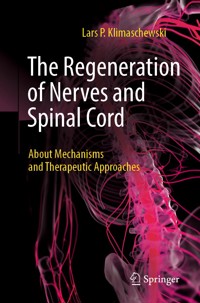 The Regeneration of Nerves and Spinal Cord - Lars P. Klimaschewski - E-Book