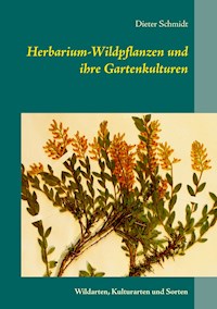 Herbarium-Wildpflanzen und ihre Gartenkulturen - Dieter Schmidt - E-Book