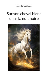Sur son cheval blanc dans la nuit noire - Joël Carobolante - E-Book