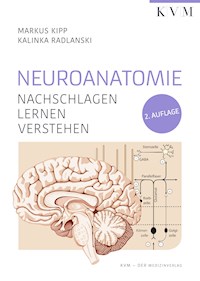 Neuroanatomie - Markus Kipp - E-Book