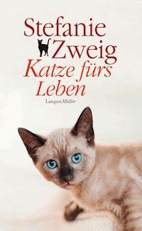 Katze fürs Leben - Stefanie Zweig - E-Book