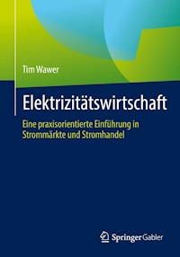 Elektrizitätswirtschaft - Tim Wawer - E-Book