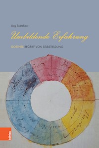 Umbildende Erfahrung - Jörg Soetebeer - E-Book