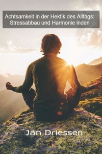 Achtsamkeit in der Hektik des Alltags: Stressabbau und Harmonie - Jan Driessen - E-Book