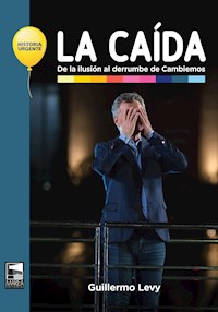 La caída - Guillermo Levy - E-Book