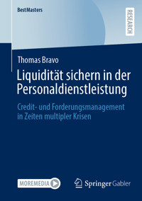 Liquidität sichern in der Personaldienstleistung - Thomas Bravo - E-Book