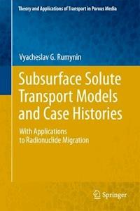 Subsurface Solute Transport Models and Case Histories - Vyacheslav G. Rumynin - E-Book