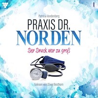 Praxis Dr. Norden 1 - Arztroman - Patricia Vandenberg - Hörbuch