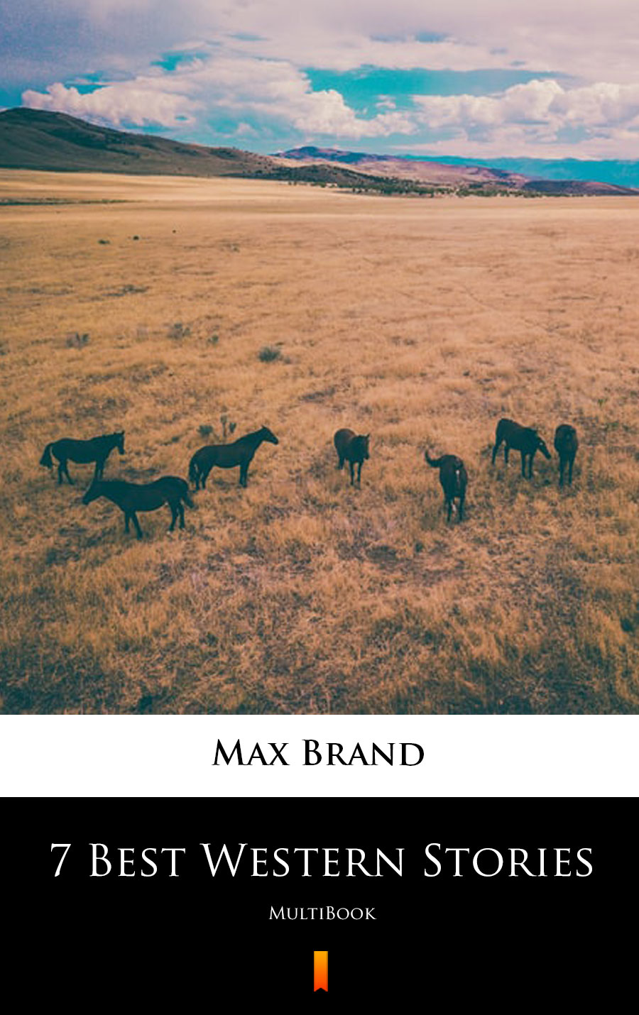 7 Best Western Stories - Max Brand - E-Book