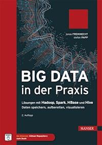 Big Data in der Praxis - Jonas Freiknecht - E-Book