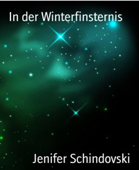 In der Winterfinsternis - Jenifer Schindovski - kostenlos E-Book