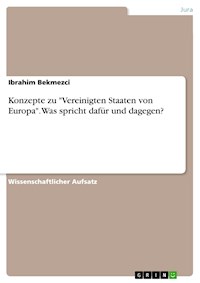 Konzepte zu "Vereinigten Staaten von Europa". Was spricht dafür und dagegen? - Ibrahim Bekmezci - E-Book