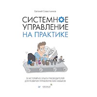 Системное управление на практике: 50 историй из опыта руководителей для развития управленческих навыков - Евгений Севастьянов - Hörbuch