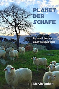 Planet der Schafe - Marvin Entholt - E-Book