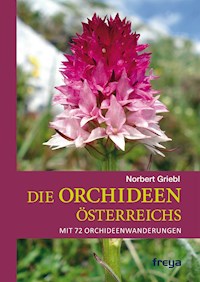Die Orchideen Österreichs - Norbert Griebl - E-Book