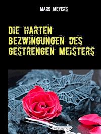 Die harten Bezwingungen des gestrengen Meisters - Marc Meyers - E-Book
