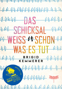 Das Schicksal weiß schon, was es tut - Brigid Kemmerer - E-Book