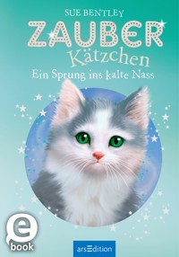 Zauberkätzchen – Ein Sprung ins kalte Nass - Sue Bentley - E-Book