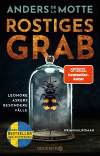 Rostiges Grab - Anders de la Motte - E-Book