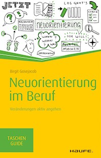 Neuorientierung im Beruf - Birgit Gosejacob - E-Book