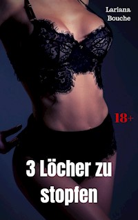 3 Löcher zu stopfen - Lariana Bouche - E-Book