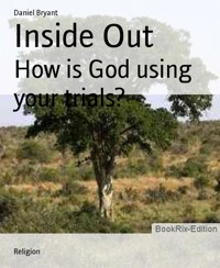 Inside Out - Daniel Bryant - E-Book